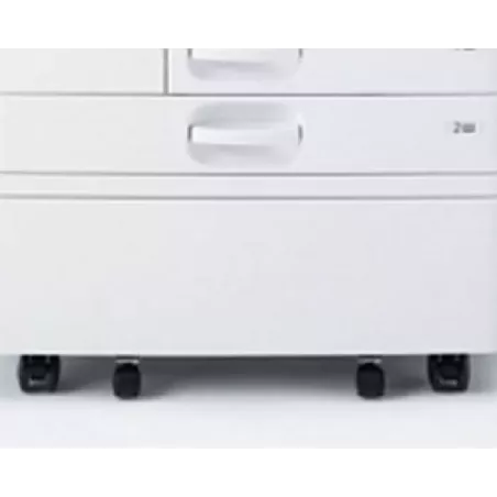 Купить опция Ricoh Low Cabinet 54 в Москве, смотреть цены 933387 в интернет-магазине goldbyte.ru