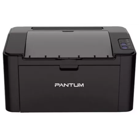 Купить принтер лазерный черно-белый Pantum P2500 в Москве, смотреть цены  в интернет-магазине goldbyte.ru