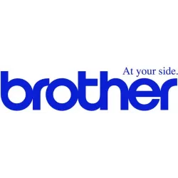 Купить запчасть Brother LX2537001/LS3994001 в Москве, смотреть цены LX2537001 в интернет-магазине goldbyte.ru