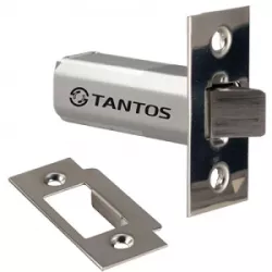 Купить замок Tantos TS-EML300 в Москве, смотреть цены  в интернет-магазине goldbyte.ru