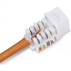 Купить модуль Cabeus KJ-RJ45-Cat.6-90-SW в Москве, смотреть цены  в интернет-магазине goldbyte.ru