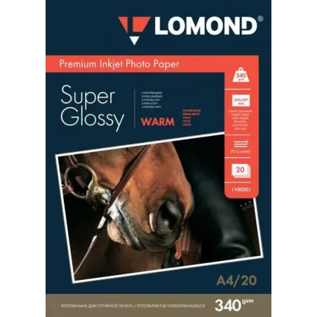 Купить фотобумага Lomond 1100301 в Москве, смотреть цены  в интернет-магазине goldbyte.ru