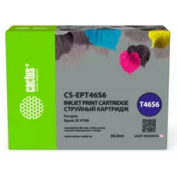 Купить картридж Cactus CS-EPT46S6 в Москве, смотреть цены  в интернет-магазине goldbyte.ru