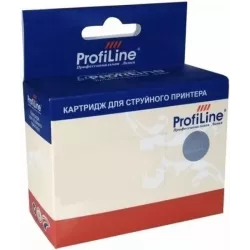 Купить картридж ProfiLine PL_PGI-480XLBK_BK в Москве, смотреть цены  в интернет-магазине goldbyte.ru