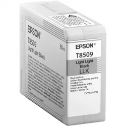 Купить картридж Epson C13T850900 в Москве, смотреть цены  в интернет-магазине goldbyte.ru
