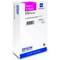Купить картридж Epson C13T754340 в Москве, смотреть цены  в интернет-магазине goldbyte.ru