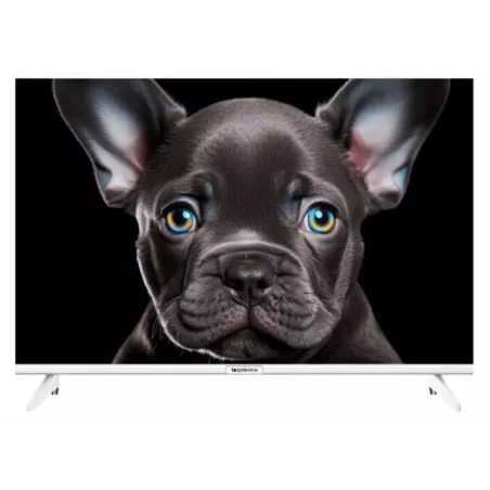 Купить телевизор  TopDevice TDTV24CS08H_WE в Москве, смотреть цены TDTV24CS08H_WE  в интернет-магазине goldbyte.ru