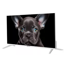 Купить телевизор  TopDevice TDTV24CS08H_WE в Москве, смотреть цены TDTV24CS08H_WE  в интернет-магазине goldbyte.ru