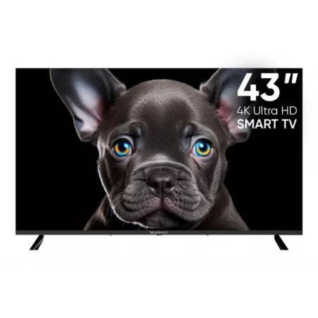 Купить телевизор  TopDevice TDTV43CS08U_BK в Москве, смотреть цены TDTV43CS08U_BK  в интернет-магазине goldbyte.ru