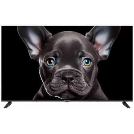 Купить телевизор  TopDevice TDTV50CS08U_BK в Москве, смотреть цены TDTV50CS08U_BK  в интернет-магазине goldbyte.ru