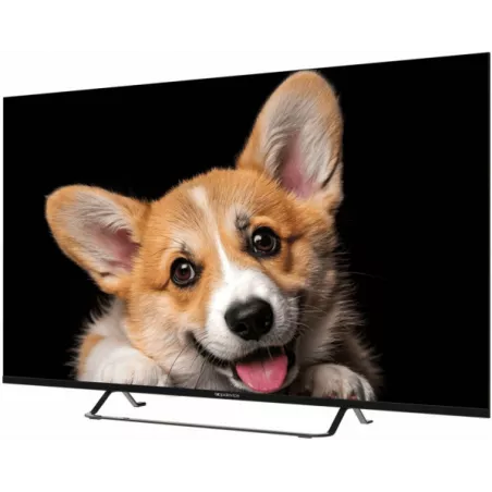 Купить телевизор  TopDevice TDTV50CS03U_BK в Москве, смотреть цены TDTV50CS03U_BK  в интернет-магазине goldbyte.ru