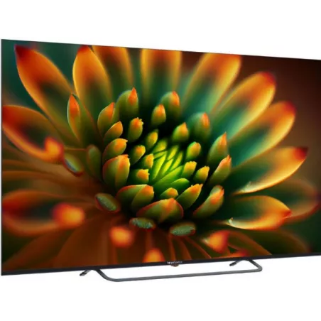 Купить телевизор  TopDevice TDTV65CS05U_BK в Москве, смотреть цены TDTV65CS05U_BK  в интернет-магазине goldbyte.ru
