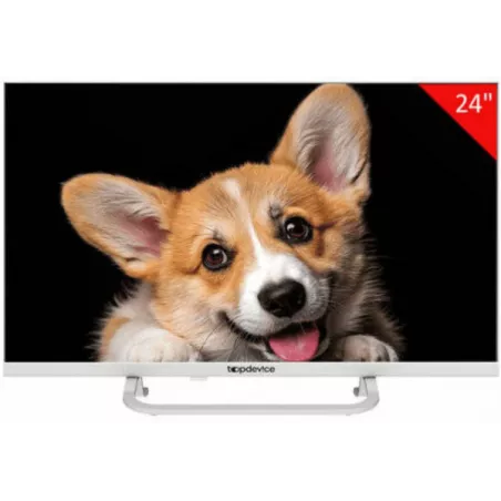 Купить телевизор  TopDevice TDTV24CS03H_WE в Москве, смотреть цены TDTV24CS03H_WE  в интернет-магазине goldbyte.ru
