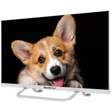 Купить телевизор  TopDevice TDTV24CS03H_WE в Москве, смотреть цены TDTV24CS03H_WE  в интернет-магазине goldbyte.ru