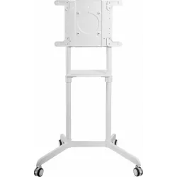 Купить стойка  Cactus CS-ST1146WT в Москве, смотреть цены CS-ST1146WT  в интернет-магазине goldbyte.ru