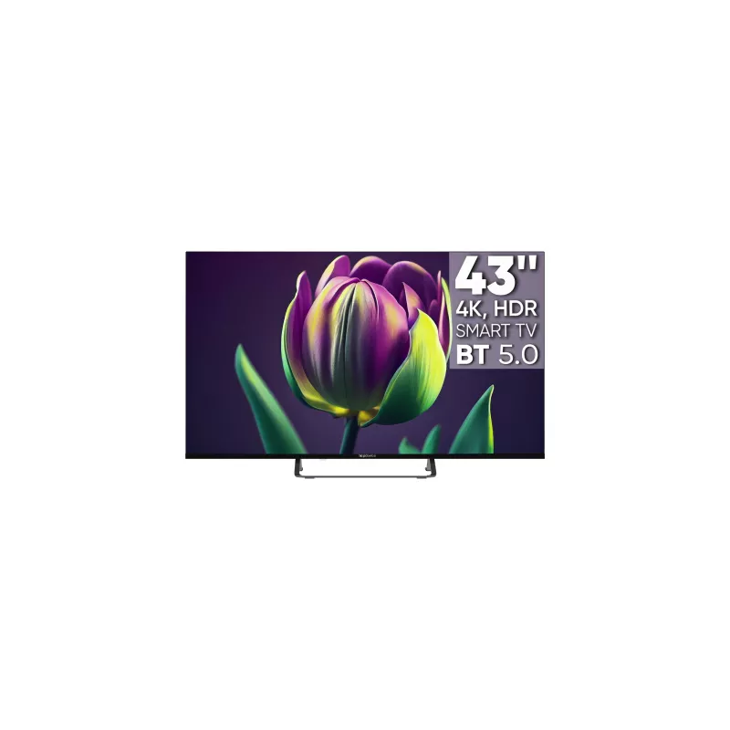 Купить телевизор  TopDevice TDTV43CS06U_BK в Москве, смотреть цены TDTV43CS06U_BK  в интернет-магазине goldbyte.ru