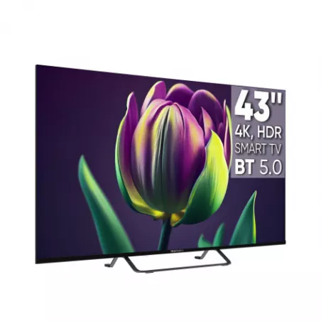 Купить телевизор  TopDevice TDTV43CS06U_BK в Москве, смотреть цены TDTV43CS06U_BK  в интернет-магазине goldbyte.ru