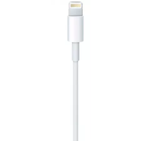 Купить кабель интерфейсный Apple Lightning to USB в Москве, смотреть цены MUQW3  в интернет-магазине goldbyte.ru