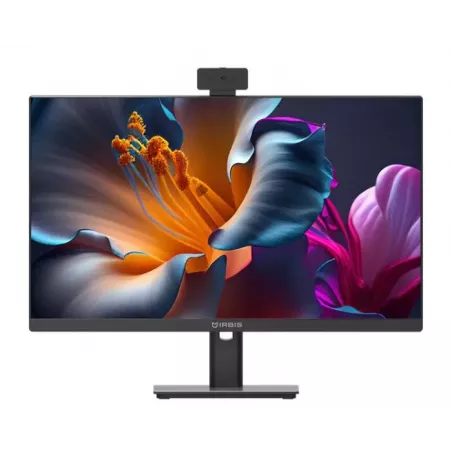 Купить моноблок 23.8'' Irbis SMART AIO в Москве, смотреть цены 24i5D2165HC в интернет-магазине goldbyte.ru