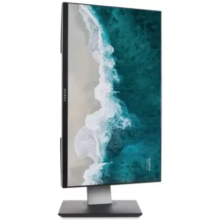 Купить моноблок 23.8'' Nerpa SAIMAA I242-121N в Москве, смотреть цены I242-121N162601KD в интернет-магазине goldbyte.r