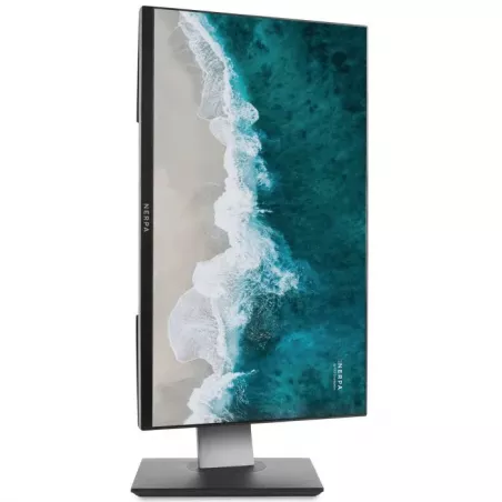 Купить моноблок 23.8'' Nerpa SAIMAA I242-124L в Москве, смотреть цены I242-124L325200K в интернет-магазине goldbyte.ru