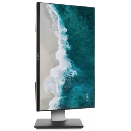 Купить моноблок 23.8'' Nerpa SAIMAA I242-124L в Москве, смотреть цены I242-124L085201K в интернет-магазине goldbyte.ru