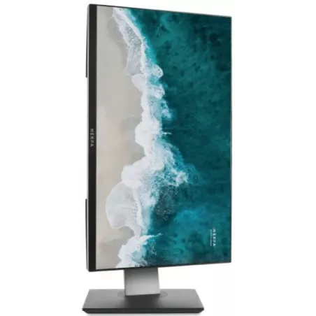 Купить моноблок 23.8'' Nerpa SAIMAA I242-125L в Москве, смотреть цены I242-125L325200K в интернет-магазине goldbyte.ru