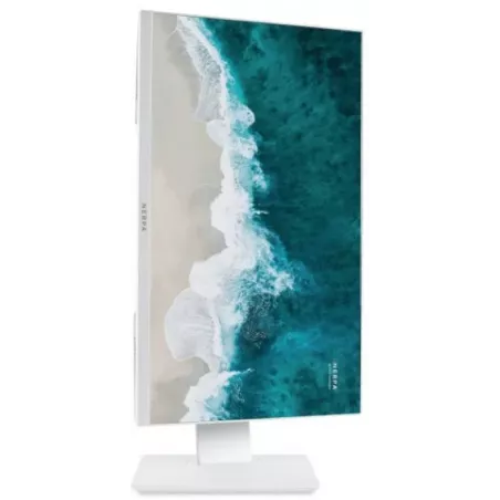 Купить моноблок 23.8'' Nerpa SAIMAA I242-125L в Москве, смотреть цены I242-125L321402WD в интернет-магазине goldbyte.r