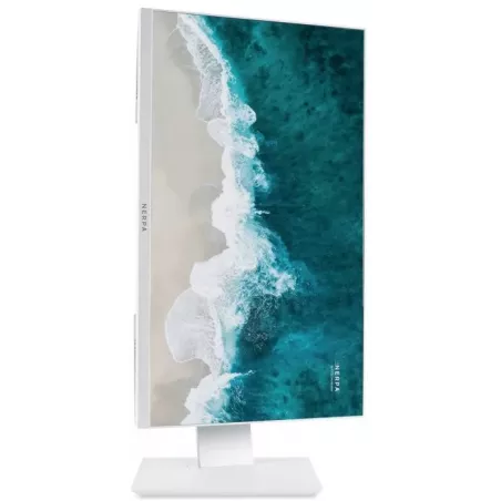 Купить моноблок 23.8'' Nerpa SAIMAA I242-125L в Москве, смотреть цены I242-125L085202W в интернет-магазине goldbyte.ru