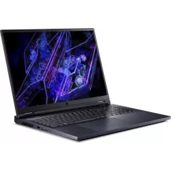 Купить ноутбук Acer Predator Helios 18 PH18-72-94QH 18 ", Core i9, 64 Гб RAM, 4 Тб SSD, GeForce RTX 4090, Черный в Москве в инте