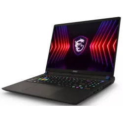 Купить ноутбук MSI Vector 16 HX A14VGG-283RU 16 ", Core i9, 16 Гб RAM, 1 Тб SSD, GeForce RTX 4070, Серый в Москве в интернет-маг