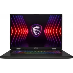 Купить ноутбук MSI Sword 17 HX B14VGKG-048XRU 17 ", Core i9, 16 Гб RAM, 1 Тб SSD, GeForce RTX 4070, Серый в Москве в интернет-ма