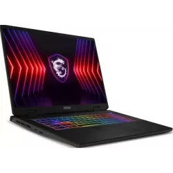 Купить ноутбук MSI Sword 17 HX B14VGKG-048XRU 17 ", Core i9, 16 Гб RAM, 1 Тб SSD, GeForce RTX 4070, Серый в Москве в интернет-ма