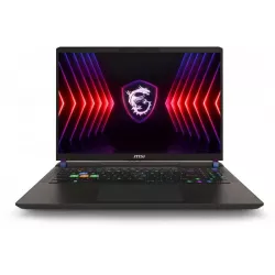 Купить ноутбук MSI Vector 16 HX A14VHG-831XRU 16 ", Core i9, 16 Гб RAM, 1 Тб SSD, GeForce RTX 4080, Серый в Москве в интернет-ма