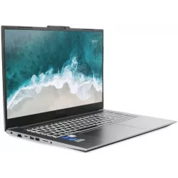 Купить ноутбук Nerpa Caspica I552-17 17.3 ", Core i5, 32 Гб RAM, 1 Тб SSD, Iris Xe Graphics, Серый в Москве в интернет-магазине 