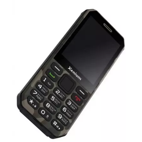 Купить мобильный телефон Xenium X300 в Москве, узнать цены CTX300GC/00 в интернет-магазине goldbyte.ru | 1107649