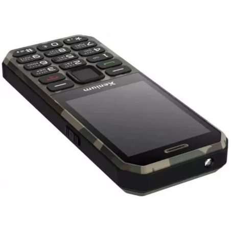 Купить мобильный телефон Xenium X300 в Москве, узнать цены CTX300GC/00 в интернет-магазине goldbyte.ru | 1107649