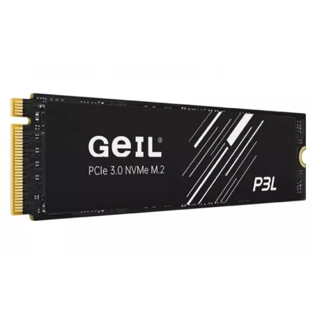 Купить накопитель SSD M.2 2280 Geil P3LFD16I512D в Москве, смотреть цены  в интернет-магазине goldbyte.ru