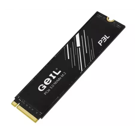 Купить накопитель SSD M.2 2280 Geil P3LFD16I512D в Москве, смотреть цены  в интернет-магазине goldbyte.ru