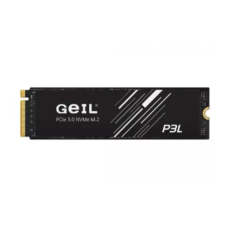 Купить накопитель SSD M.2 2280 Geil P3LFD16I256G в Москве, смотреть цены  в интернет-магазине goldbyte.ru