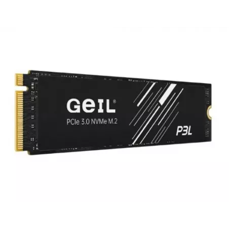 Купить накопитель SSD M.2 2280 Geil P3LFD16I256G в Москве, смотреть цены  в интернет-магазине goldbyte.ru