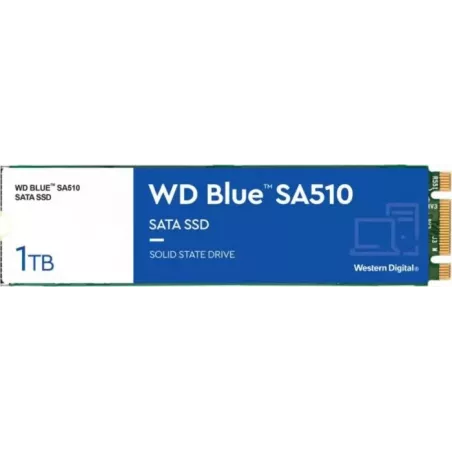 Купить накопитель SSD M.2 2280 Western Digital WDS100T3B0B в Москве, смотреть цены  в интернет-магазине goldbyte.ru