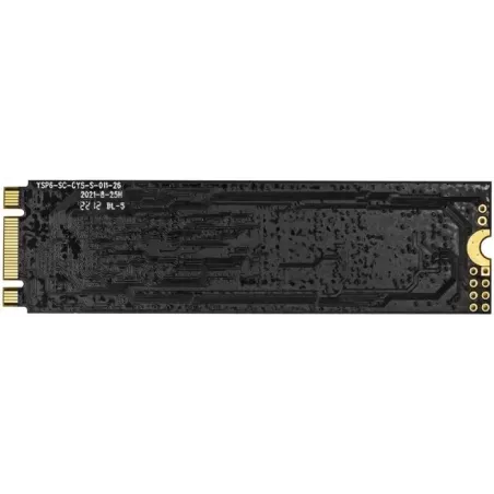 Купить накопитель SSD M.2 2280 Exegate Next A2000TS120 в Москве, смотреть цены EX280467RUS в интернет-магазине goldbyte.ru