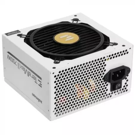 Купить блок питания Zalman ZM750-TMX2 WH в Москве, смотреть цены  в интернет-магазине goldbyte.ru