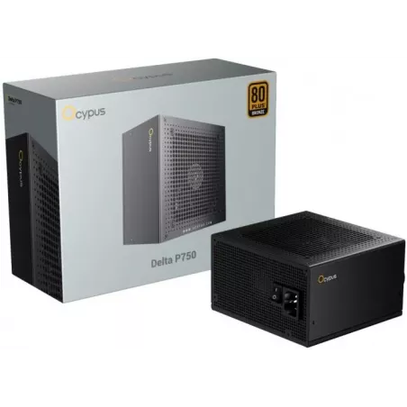 Купить блок питания ATX Ocypus Delta P750 [P750-BD] в Москве, смотреть цены Delta-P750-B1FDBK024X-EU в интернет-магазине goldbyt