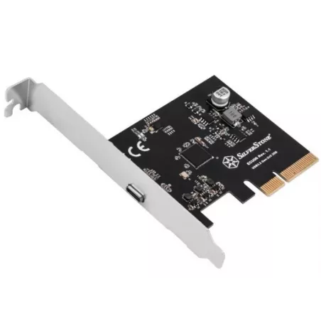 Купить контроллер расширения SilverStone G56ECU060000010 в Москве, смотреть цены  в интернет-магазине goldbyte.ru