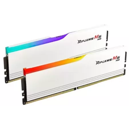 Купить оперативная память DDR5 64GB (2*32GB) G.Skill F5-6400J3239G32GX2-RM5RW в Москве, смотреть цены  в интернет-магазине goldb