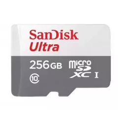 Купить карта памяти MicroSDXC 256GB SanDisk SDSQUNR-256G-GN3MN в Москве, смотреть цены  в интернет-магазине goldbyte.ru