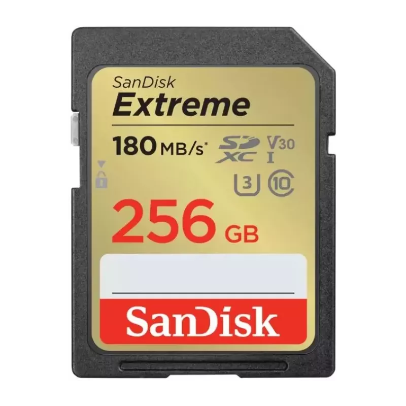 Купить карта памяти SDXC 256GB SanDisk SDSDXVV-256G-GNCIN в Москве, смотреть цены  в интернет-магазине goldbyte.ru