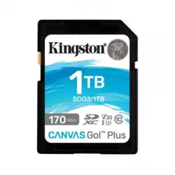 Купить карта памяти SDXC 1TB Kingston SDG3/1TB в Москве, смотреть цены  в интернет-магазине goldbyte.ru